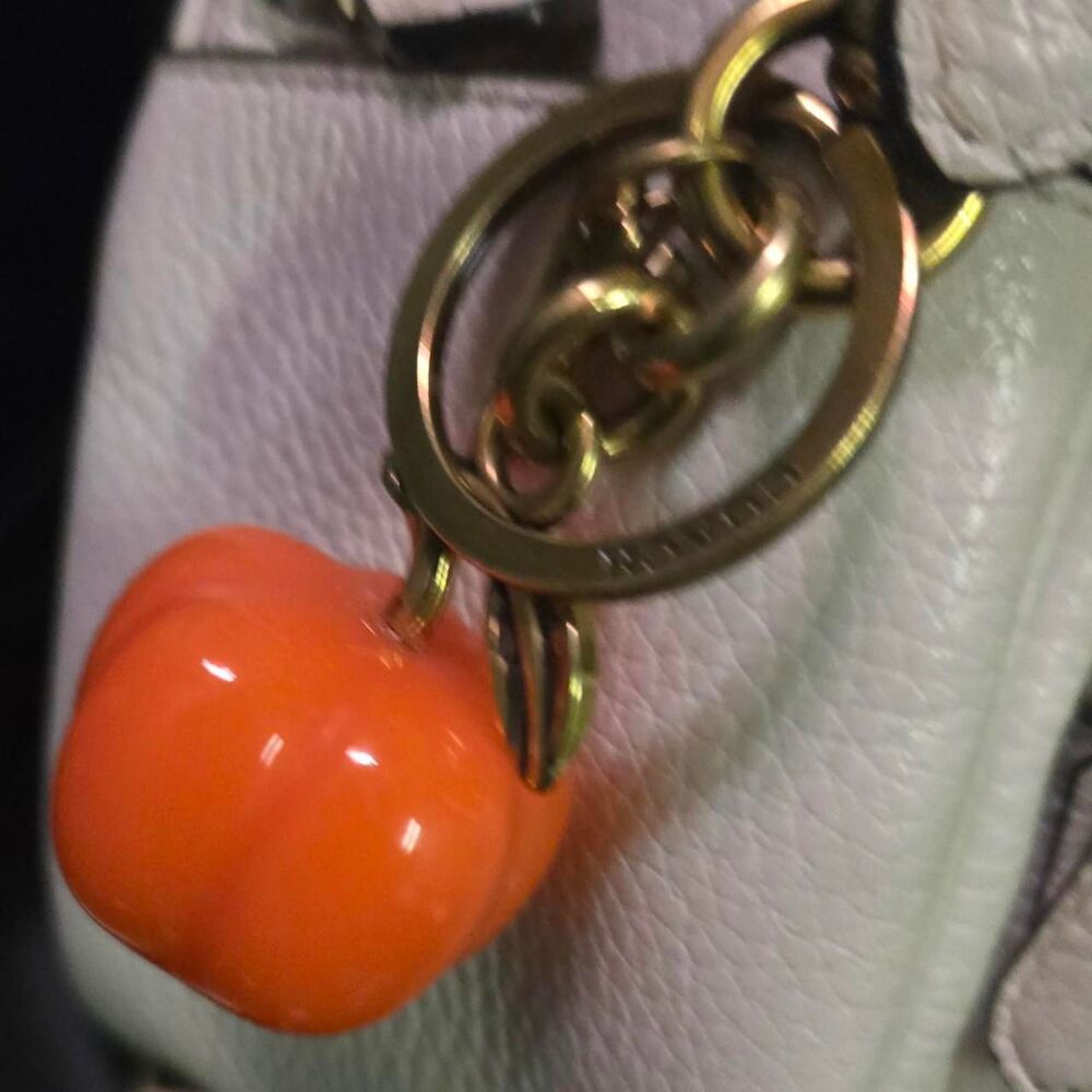 Coach Women's multi Accessory - Picture 4 of 5